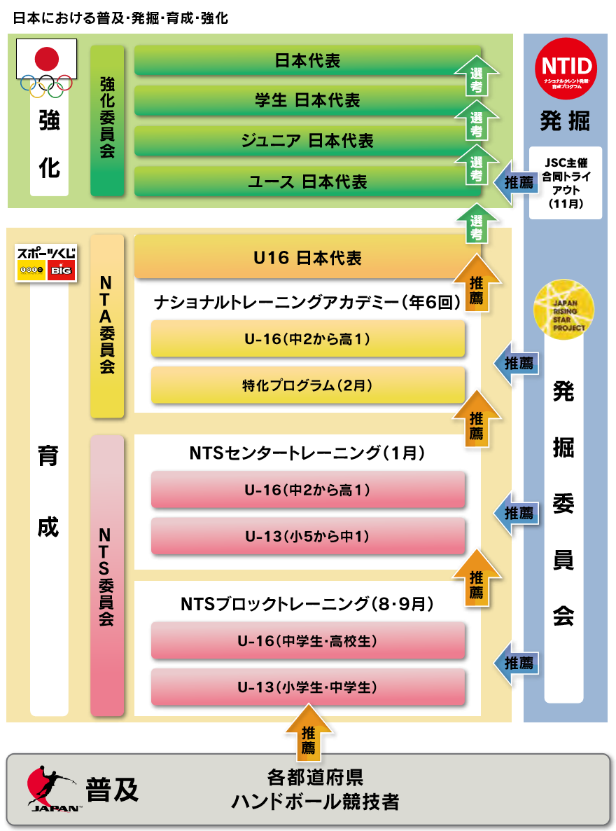 NTA全体図